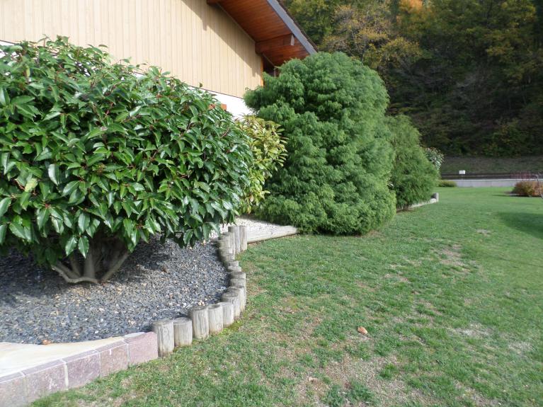 Bordurette en bois posée verticalement Bordurette en bois posée verticalement