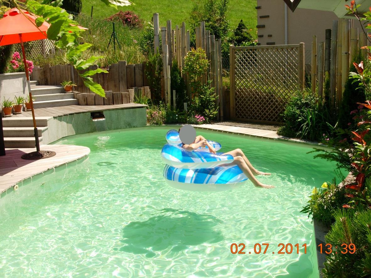 Constructeur De Piscine Naturelle Bassin De Jardin